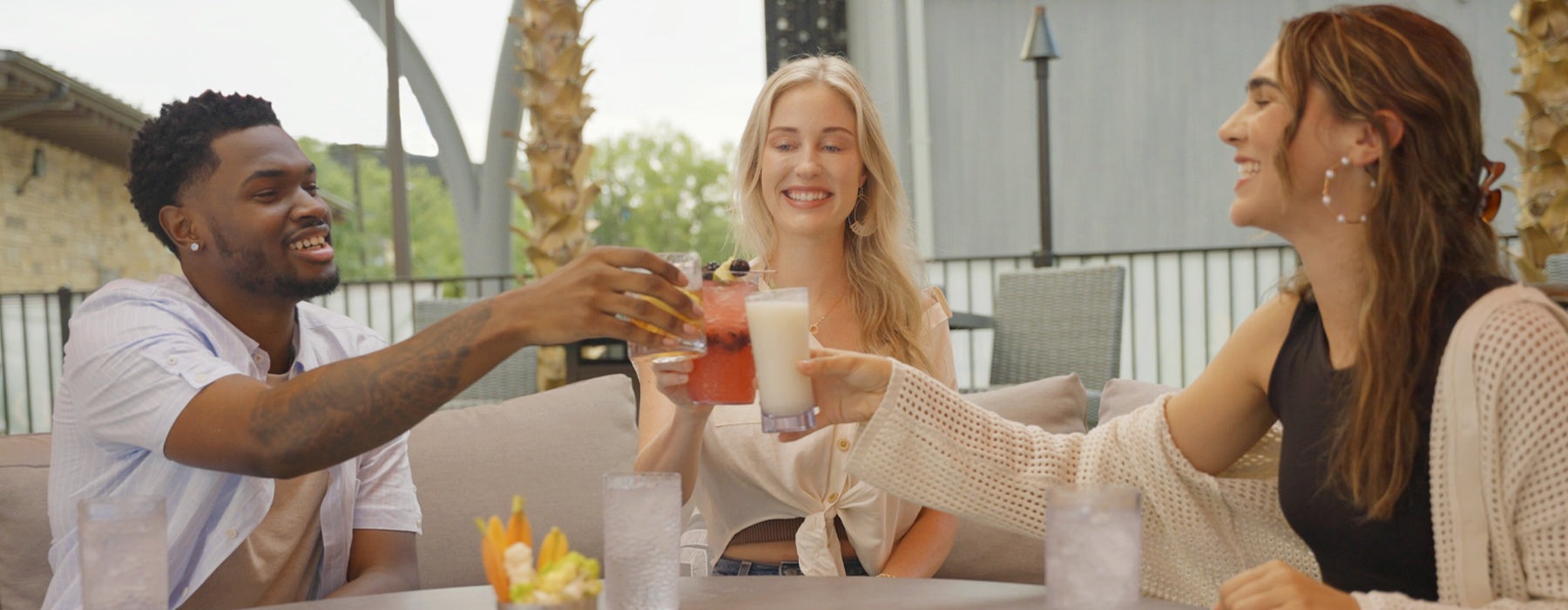 people having drinks
